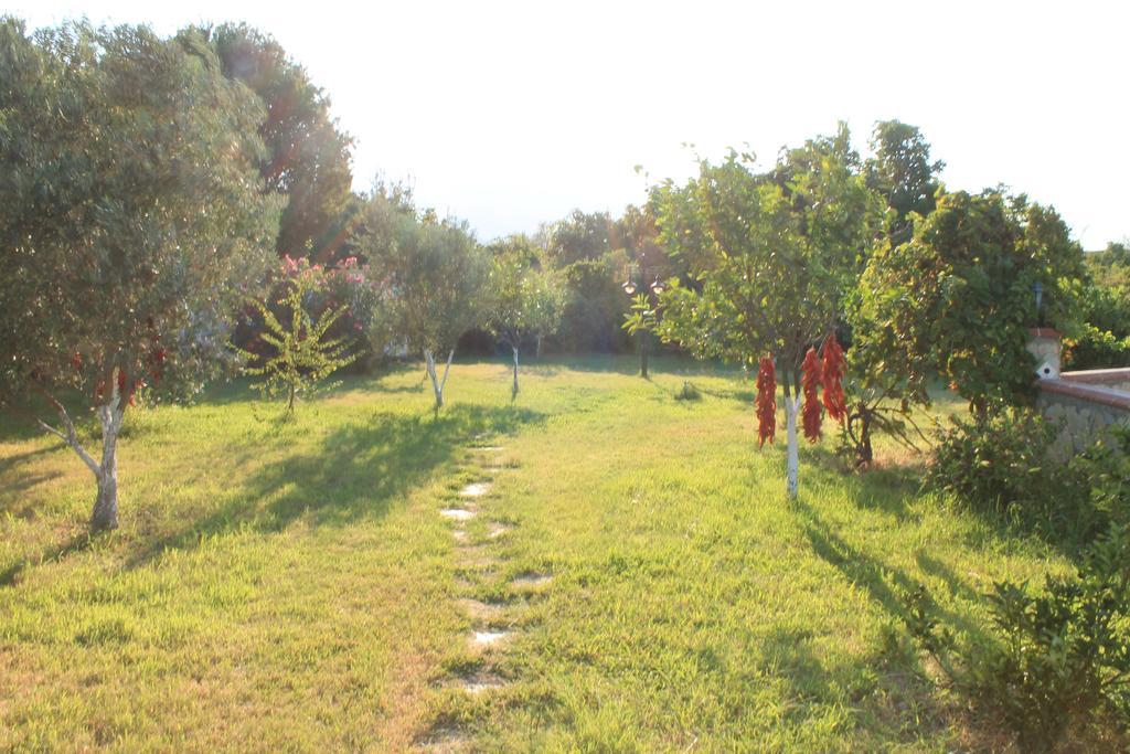 Villa Mercan Datca Exterior photo